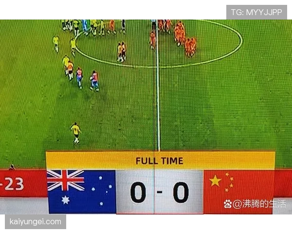 澳大利亚世界杯D组成绩：一胜一平一负排名第二